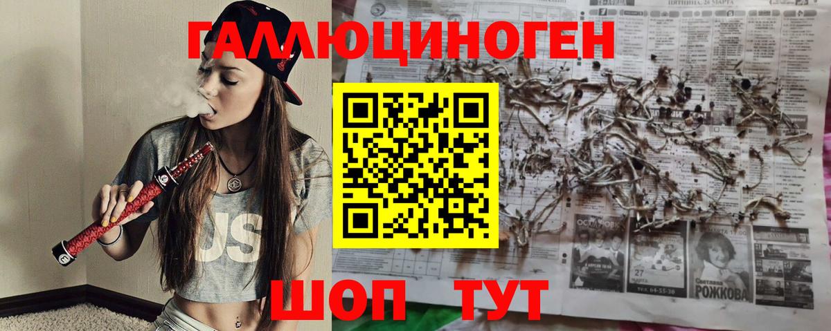 Курган  Псилоцибиновые грибы Psilocybine cubensis  Псилоцибиновые грибы прущие грибы  купить наркотик  Вход с VPN 